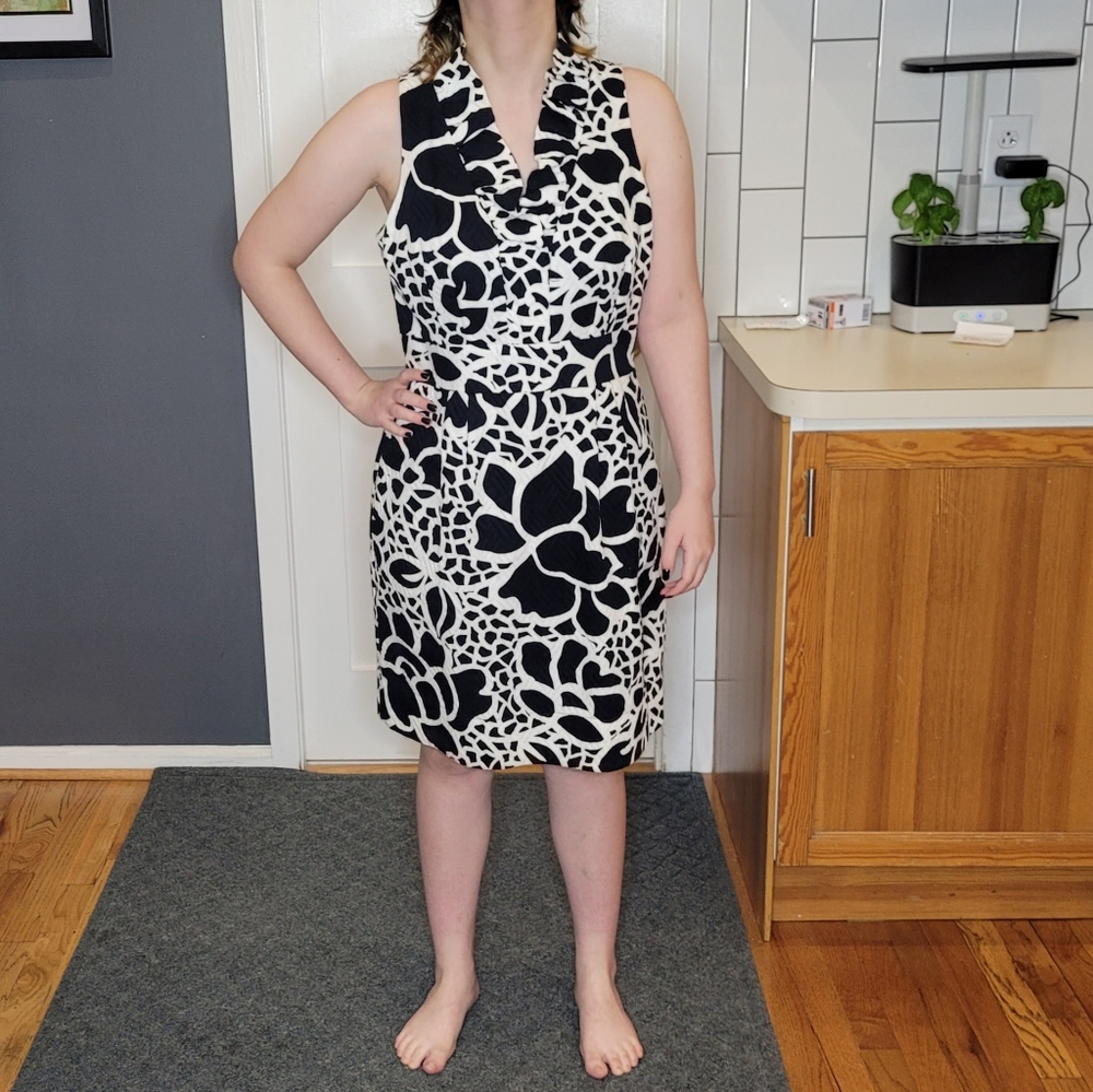 Taylor dress size 12